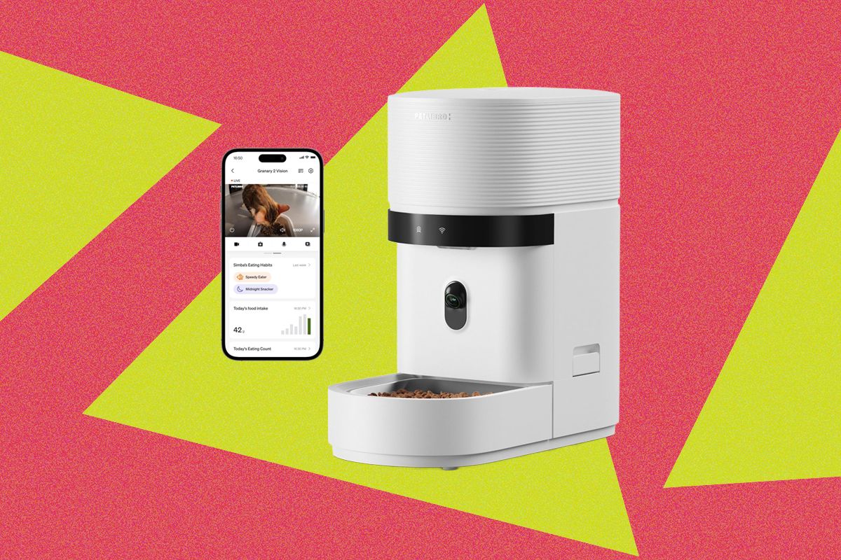 These 12 Automatic Cat Feeders Were the Best We Tested in 2026 — Wired