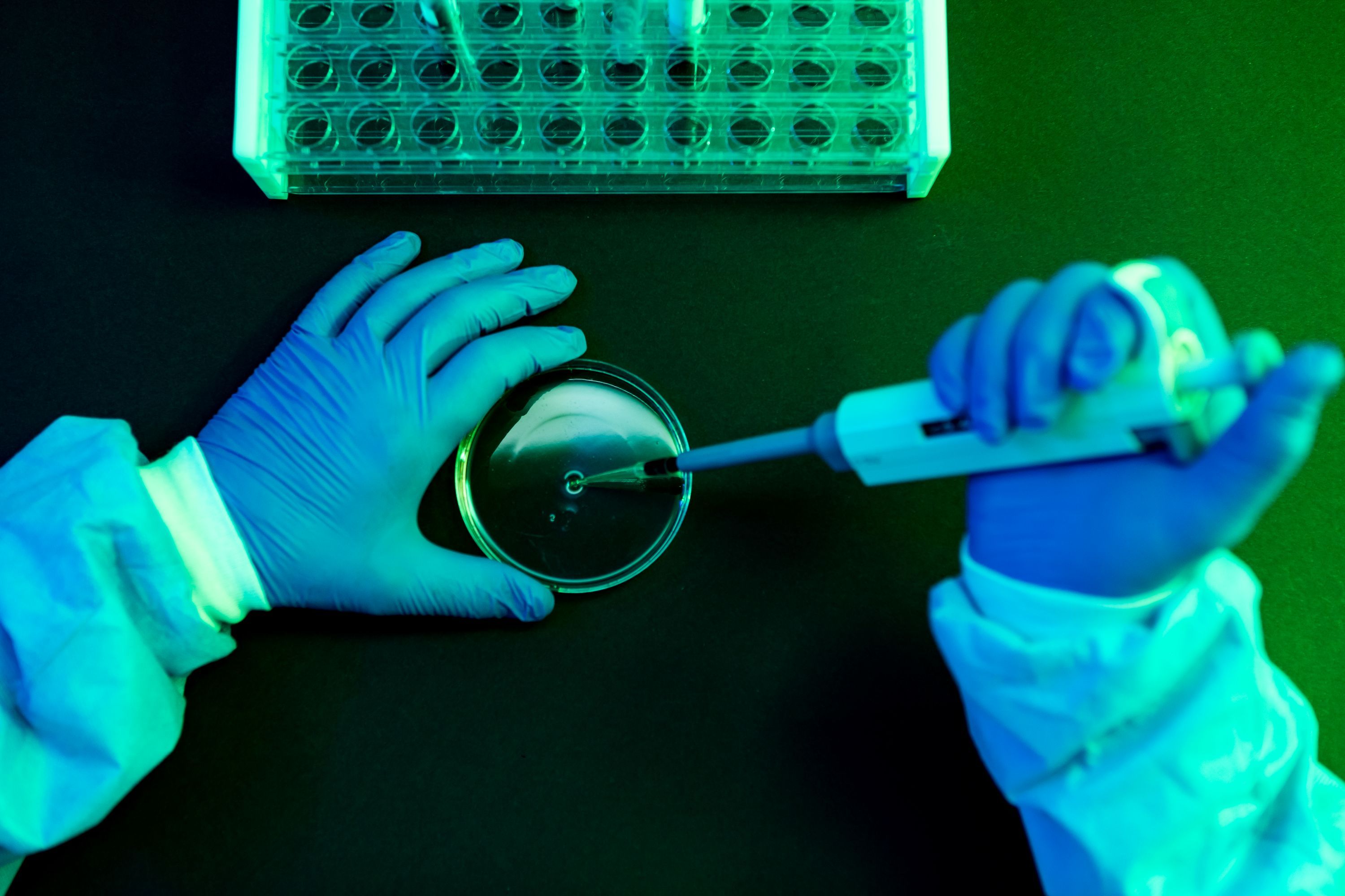 What to Know About Shamonda Virus Following the First Reported Human Infection — Wired, Denver Technology news