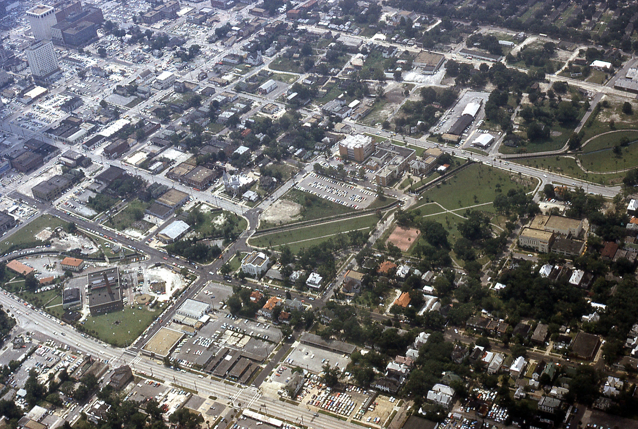 THE JAXSON | The oak tree that remembers Black Bottom — Jacksonville Today, Denver Schools news